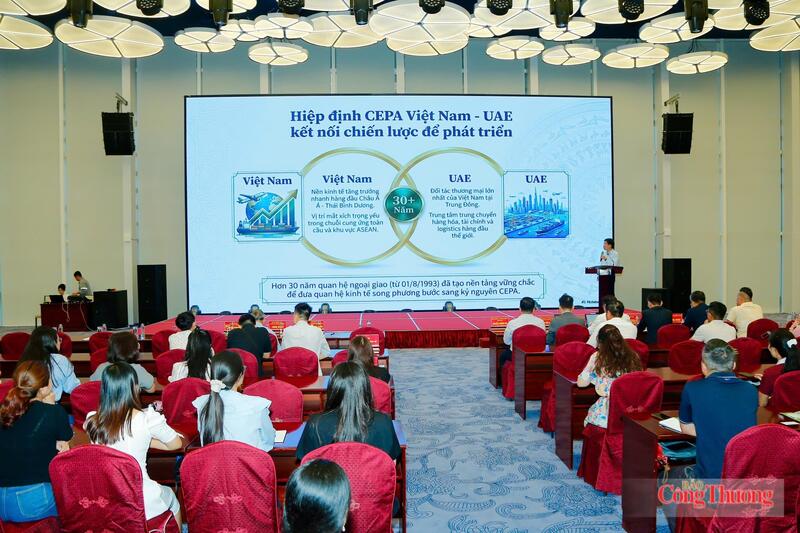 Tại hội nghị các chuyên gia trao đổi, phân tích tiềm năng phát triển của thị trường Halal tới các doanh nghiệp xuất khẩu tại Hải Phòng.