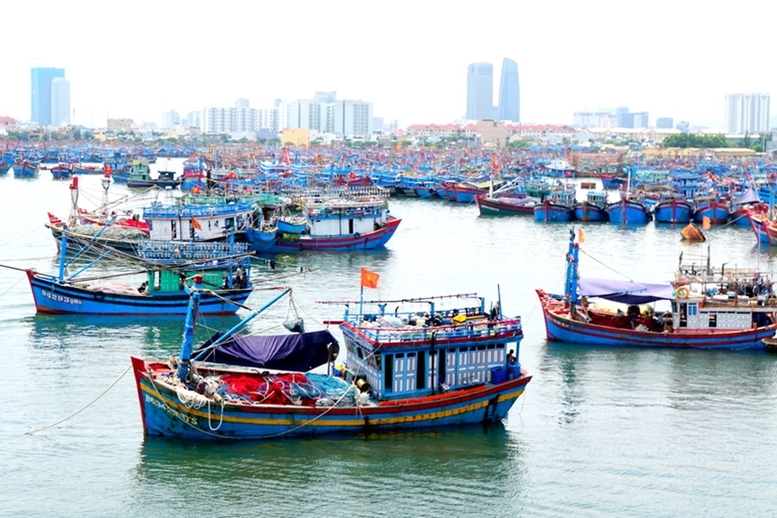 Tổ chức vi phạm nghiêm trọng trong khai thác thủy sản bị phạt tới 2 tỷ đồng. Ảnh minh họa