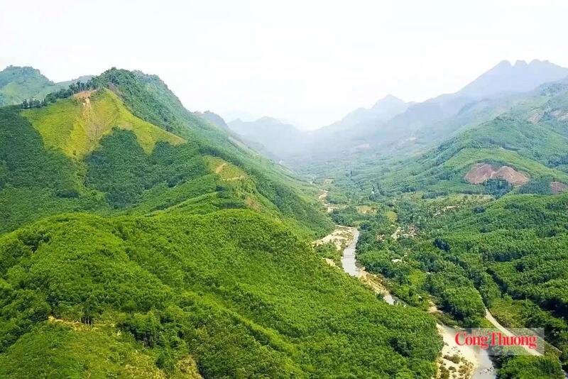 Thị trường tín chỉ carbon được coi là 'mảnh đất màu mỡ' nhưng còn nhiều điểm nghẽn về pháp lý cần được tháo gỡ để có thể bán tín chỉ carbon của Việt Nam ra thị trường thế giới