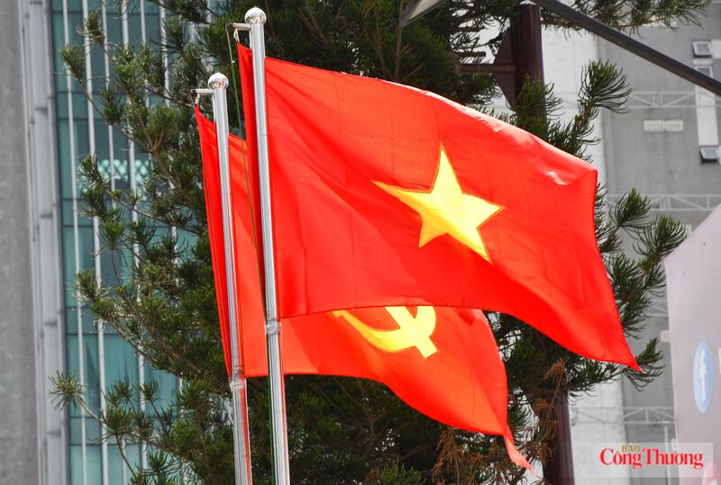 TP. Hồ Chí Minh rực rỡ cờ hoa mừng 50 năm vinh dự mang tên Bác - 9