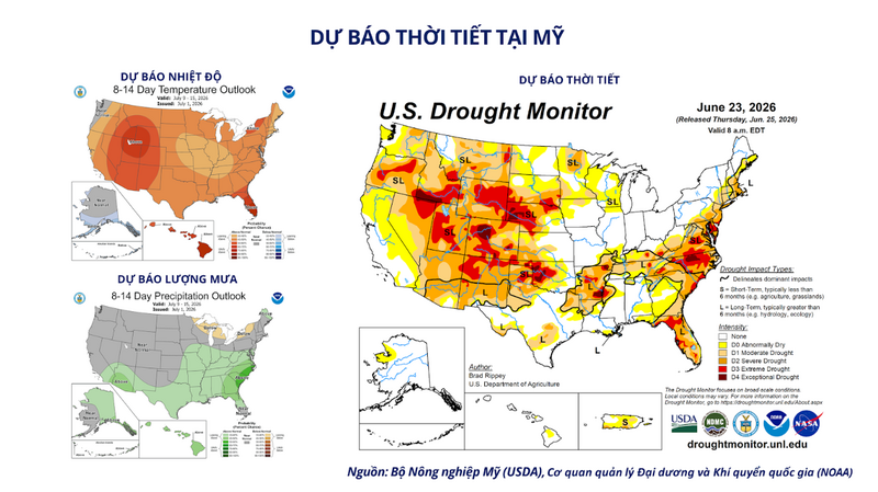 Dự báo thời tiết tại Mỹ. Nguồn: MXV