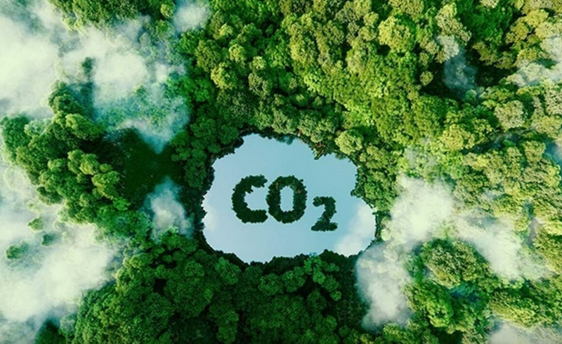 Dự thảo Tiêu chuẩn quốc gia về tín chỉ carbon rừng dự kiến sớm ban hành, tạo khung kỹ thuật thống nhất, hỗ trợ thực thi Nghị định 180 và phát triển thị trường carbon. Ảnh minh họa
