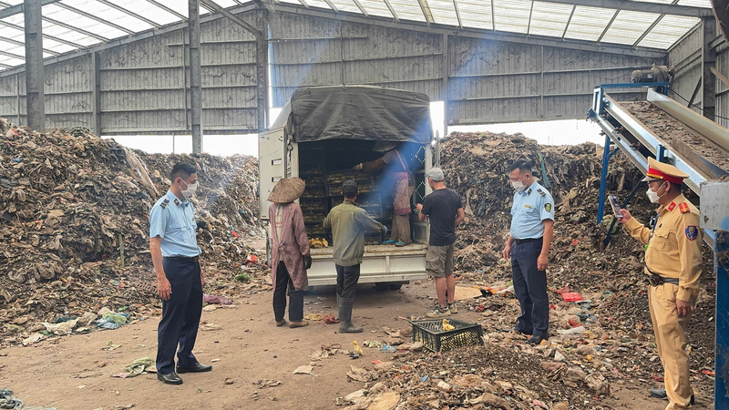 Lực lượng chức năng giám sát tiêu hủy hàng hóa vi phạm. Ảnh: Cục Quản lý và Phát triển thị trường trong nước