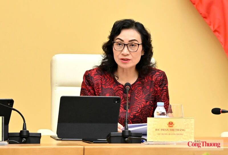 Thứ trưởng Phan Thị Thắng phát biểu tại hội nghị. Ảnh: Cấn Dũng