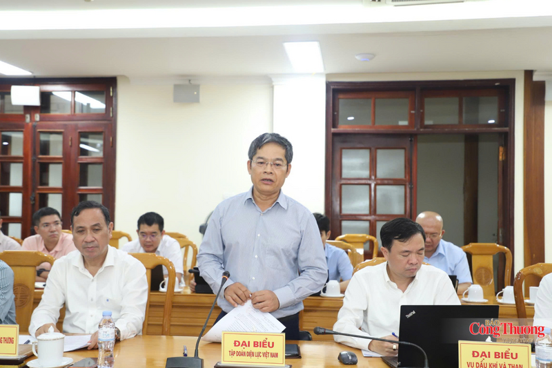 Đại diện Tập đoàn Điện lực Việt Nam phát biểu. Ảnh: Phúc Sơn