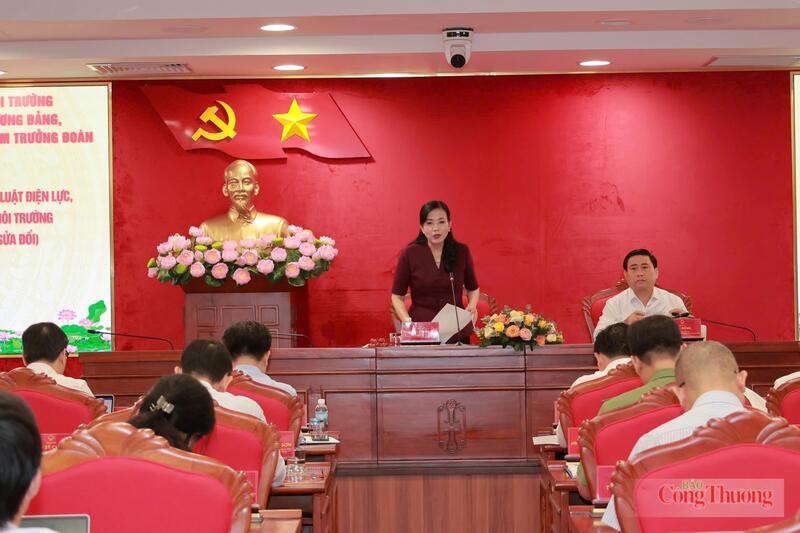 Ủy viên Ban Chấp hành Trung ương Đảng, Chủ nhiệm Ủy ban Khoa học, Công nghệ và Môi trường Nguyễn Thanh Hải phát biểu tại buổi làm việc. Ảnh: Đức Hưng