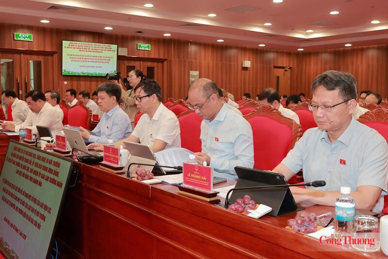 Các đại biểu tham dự buổi làm việc. Ảnh: Đức Hưng