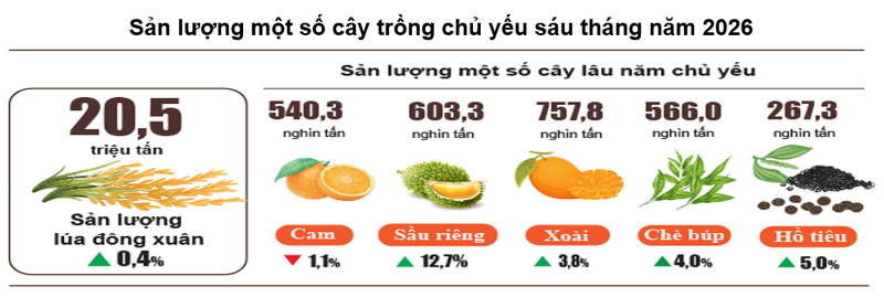 Sản xuất nông nghiệp khởi sắc, bảo đảm an ninh lương thực và xuất khẩu - 1