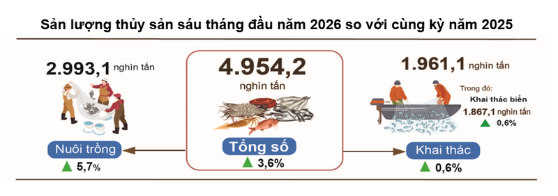Sản xuất nông nghiệp khởi sắc, bảo đảm an ninh lương thực và xuất khẩu - 2