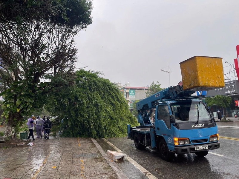 Lực lượng chức năng khẩn trương thu dọn và chặt các cây gẫy đổ tại Móng Cái, Quảng Ninh. Ảnh: QN