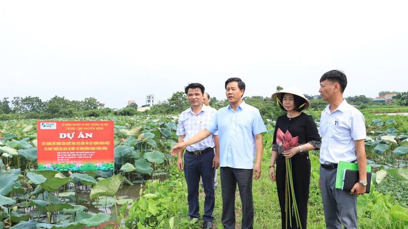 Lãnh đạo Sở NN&MT Hà Nội kiểm tra mô hình sản xuất nông nghiệp tại xã Chuyên Mỹ, bảo đảm kiểm soát chất lượng nông sản từ gốc. Ảnh: TTKNHN