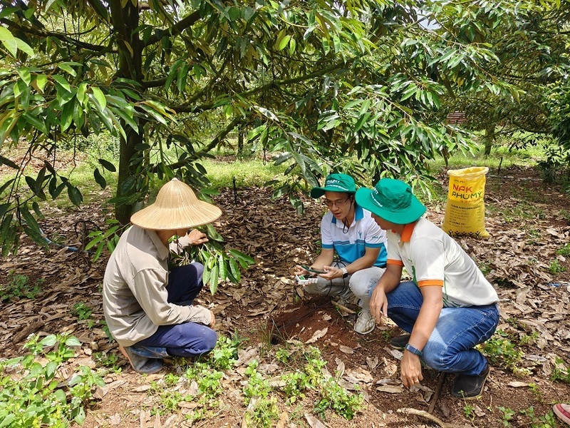 Các sản phẩm phân bón Phú Mỹ luôn được bà con nông dân tin tưởng sử dụng. Ảnh: PVFCCo – Phú Mỹ