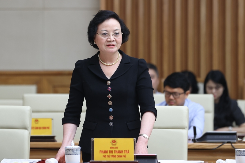 Bí thư Trung ương Đảng, Phó Thủ tướng Chính phủ Phạm Thị Thanh Trà phát biểu tại phiên họp. Ảnh: VGP/Nhật Bắc