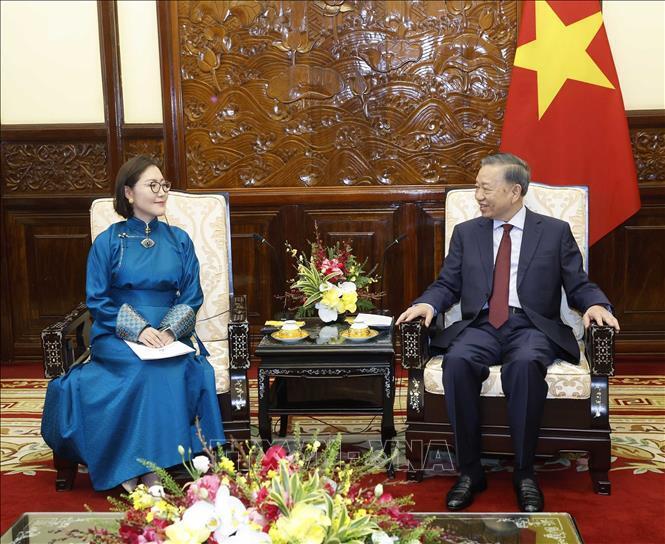 Tổng Bí thư, Chủ tịch nước Tô Lâm tiếp Đại sứ Mông Cổ Hulan Ganbaatar. Ảnh: Thống Nhất/TTXVN