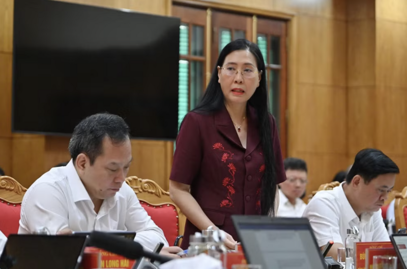 Phó trưởng Ban Tổ chức Trung ương Bùi Thị Quỳnh Vân tham gia ý kiến tại hội nghị - Ảnh: Thủy Nguyễn