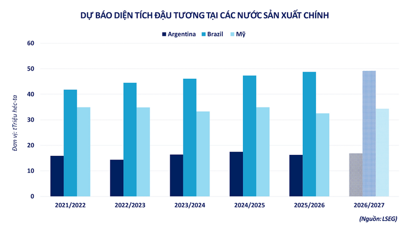 Dự báo diện tích đậu tương tại các nước sản xuất chính. Nguồn: MXV