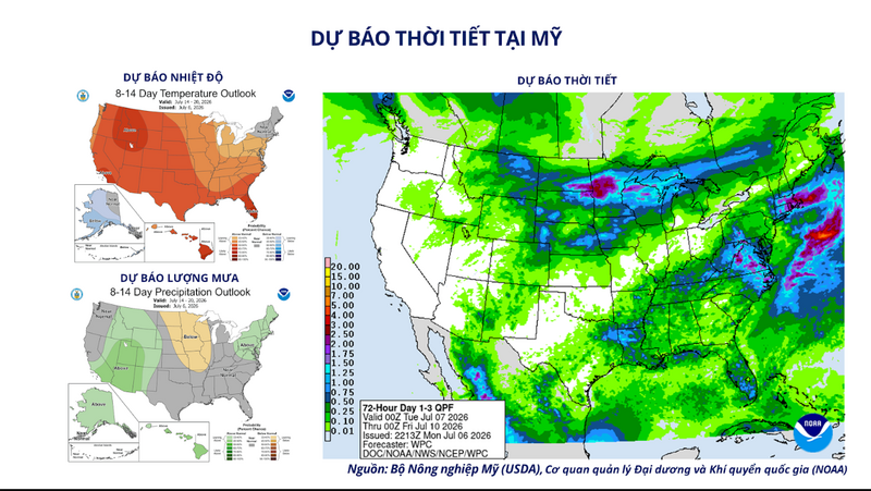 Dự báo thời tiết tại Mỹ. Nguồn: MXV