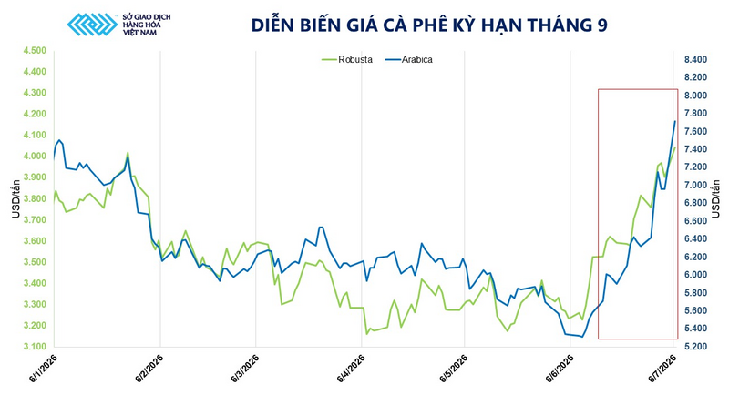 Diễn biến giá cà phê kỳ hạn tháng 9. Nguồn: MXV