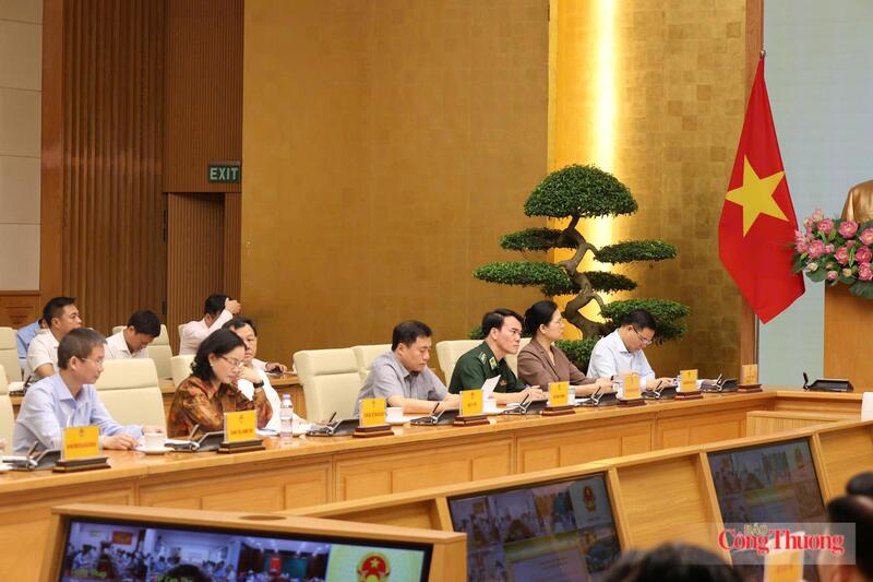 Các đại biểu tham dự hội nghị