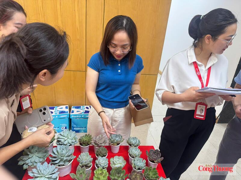 Các cán bộ lựa chọn những chậu sen đá nhỏ xinh - một trong những món quà "xanh" đầy ý nghĩa từ Ban tổ chức nhằm khuyến khích phủ xanh góc làm việc.