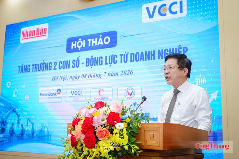PGS. TS Hồ Sỹ Hùng - Chủ tịch VCCI phát biểu tại hội thảo. Ảnh NH
