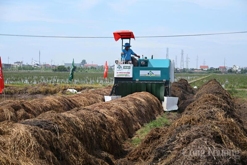 Lễ khởi động Chuỗi liên kết sản xuất lúa xanh - bền vững và nông nghiệp tuần hoàn từ rơm. Ảnh: Bảo Thắng