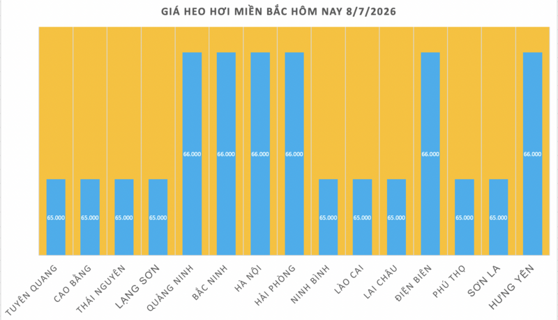 Giá heo hơi hôm nay 8/7/2026: Tạm chững, cao nhất 66.000 đồng/kg - 1