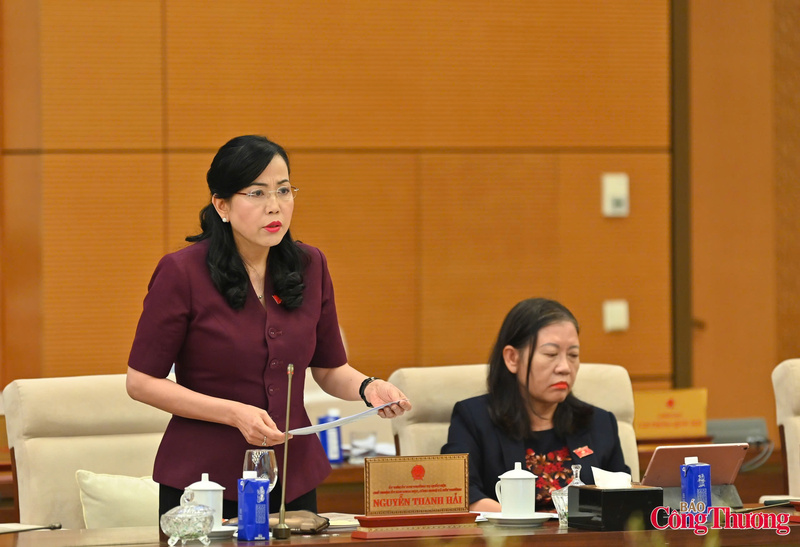 Chùm ảnh: Bộ trưởng Bộ Công Thương Lê Mạnh Hùng trình bày tóm tắt dự án Luật Dầu khí (sửa đổi) - 8
