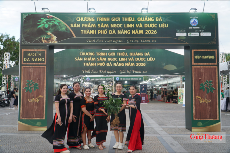TP. Đà Nẵng đưa quốc bảo sâm Ngọc Linh và dược liệu xuống phố, đến gần hơn với du khách