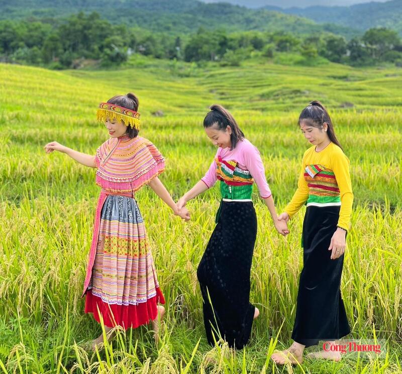Những thửa ruộng bậc thang vàng óng thu hút du khách đến chiêm ngưỡng. Ảnh: Quốc Anh