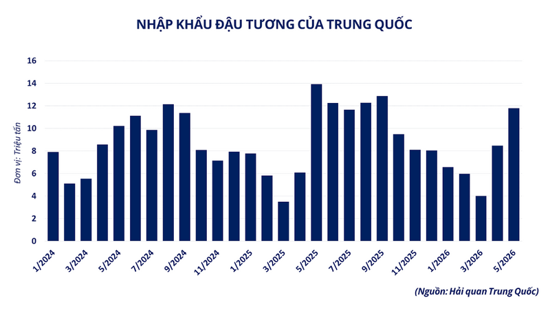 Nhập khẩu đậu tương của Trung Quốc. Nguồn: MXV