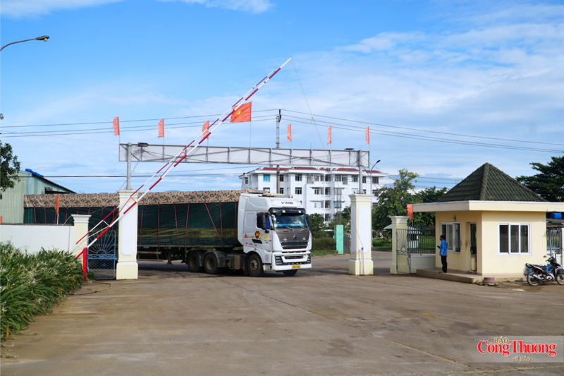 Nhà máy sản xuất Ethanol Quảng Nam là một trong 3 nhà máy sản xuất cồn nguyên liệu 99% (Ethanol E100) phục vụ phối trộn xăng sinh học E10 trong cả nước.