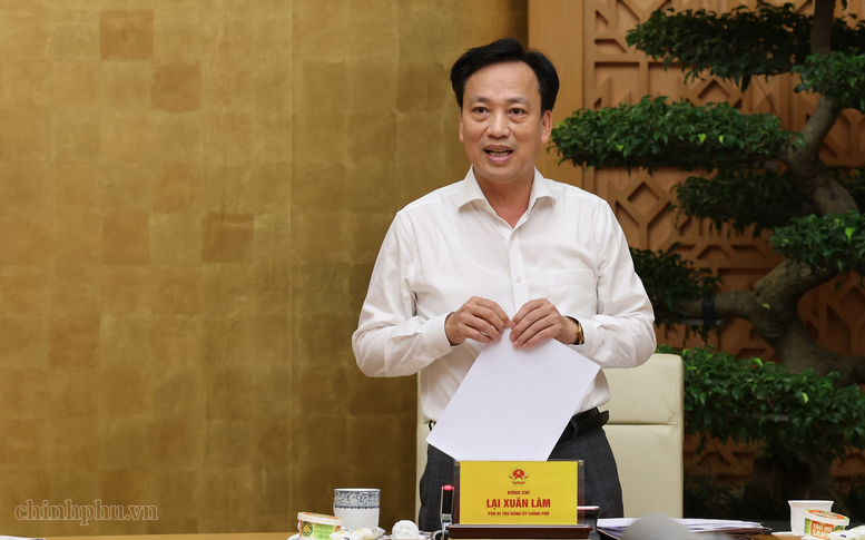 Phó Bí thư Đảng ủy Chính phủ Lại Xuân Lâm phát biểu - Ảnh: VGP/Phương Nguyên