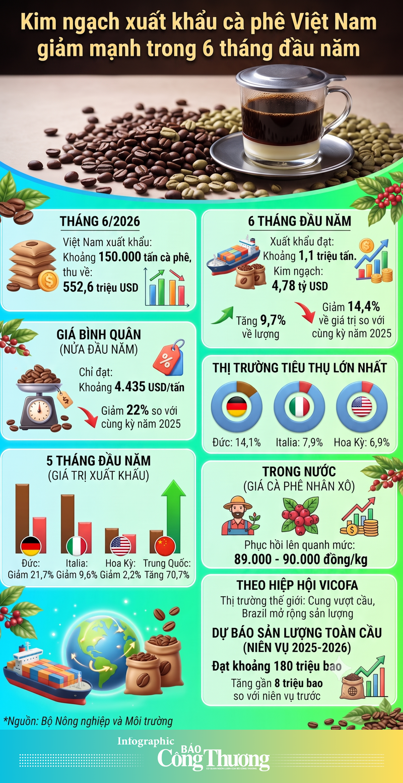 Infographic | Kim ngạch xuất khẩu cà phê Việt Nam giảm mạnh trong 6 tháng đầu năm - 1