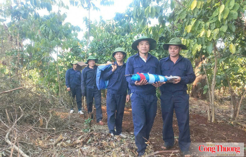 Trong vòng tay đồng đội, người lính năm xưa bắt đầu hành trình trở về. Sau nhiều năm nằm lại giữa rừng sâu, các anh đã không còn đơn độc.