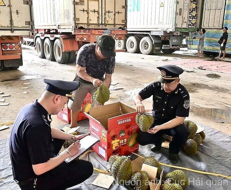 Hải quan cửa khẩu Tân Thanh (Lạng Sơn) kiểm tra quy cách đóng gói hàng nông sản. Ảnh: Cục Hải quan