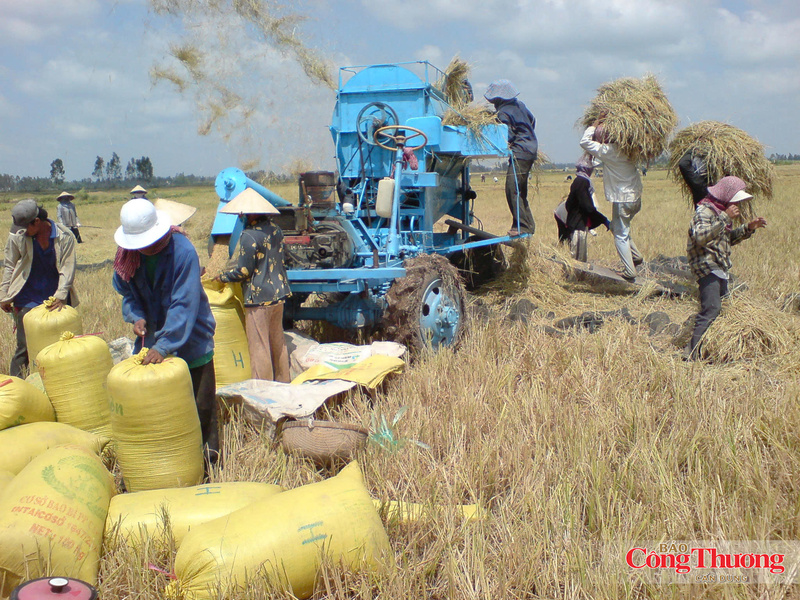 Người nông dân đang trở thành lực lượng tiên phong trong cuộc chiến giảm phát thải mê-tan.