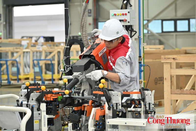 Tập trung hình thành các cụm liên kết ngành và hệ sinh thái công nghiệp quy mô vùng có khả năng tạo hiệu ứng lan tỏa