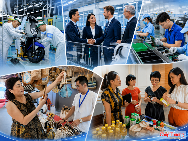 Mục tiêu chính sách không chỉ là tăng số lượng doanh nghiệp, mà quan trọng hơn là tạo điều kiện để doanh nghiệp siêu nhỏ lớn lên thành doanh nghiệp nhỏ và vừa, doanh nghiệp nhỏ và vừa phát triển thành doanh nghiệp lớn.