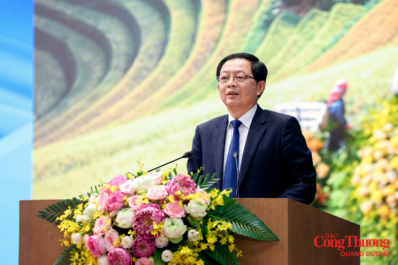Phó Thủ tướng Chính phủ Hồ Quốc Dũng phát biểu chỉ đạo tại hội nghị.