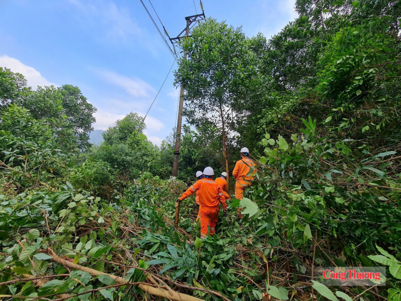 Các lực lượng đã thực hiện chặt hạ, tỉa cành đối với toàn bộ cây cối nằm trong và sát hành lang lưới điện. Ảnh: Cao Thảo