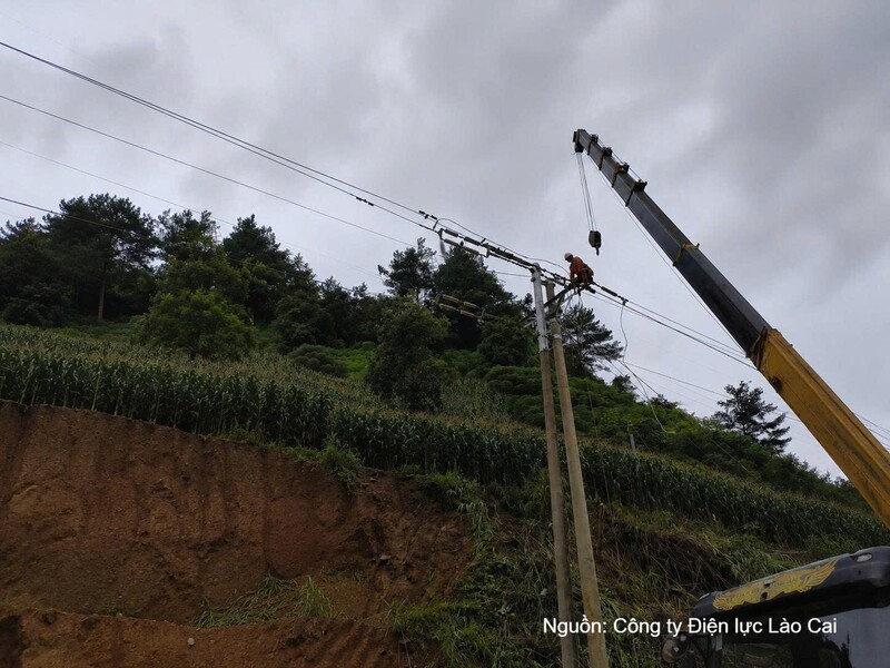 Lực lượng Điện lực Nghĩa Lộ khẩn trương dựng lại cột trung thế số 26 trên đường dây 376E29.2 tại thôn Trống Là, xã Khao Mang, tỉnh Lào Cai.