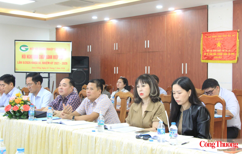 Hiệp hội Doanh nghiệp tỉnh Gia Lai vượt khó, tạo sức bật chặng đường mới - 3