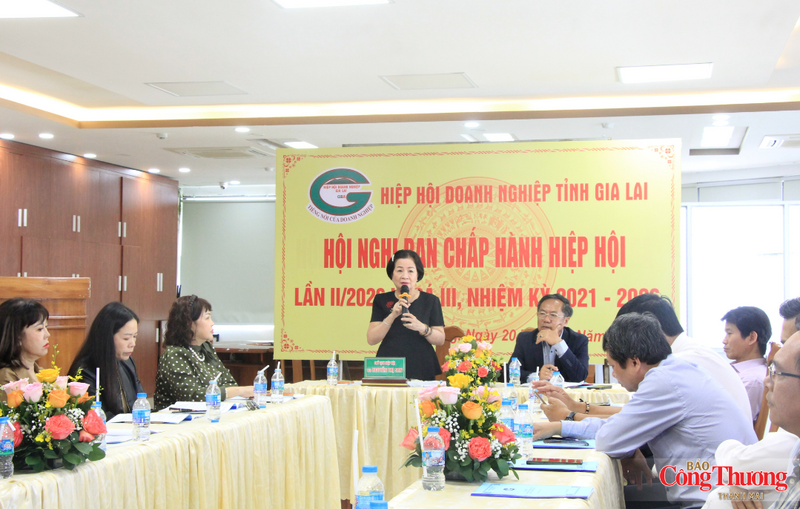 Theo bà Nguyễn Thị Sen, hoạt động an sinh xã hội thể hiện một khía cạnh khác của cộng đồng doanh nghiệp Gia Lai: trách nhiệm và sự sẻ chia.