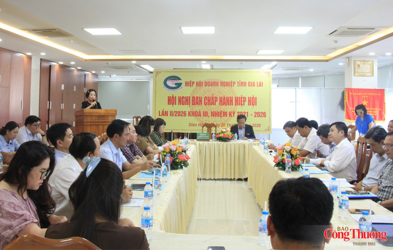 Hiệp hội Doanh nghiệp tỉnh Gia Lai tổ chức Hội nghị Ban Chấp hành lần thứ II/2026, khóa III, nhiệm kỳ 2021-2026.