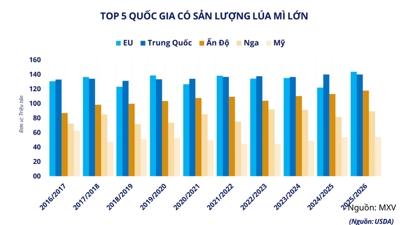 Top 5 quốc gia có sản lượng lúa mì lớn