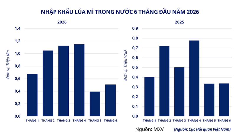 Nhập khẩu lúa mì trong nước 6 tháng đầu năm 2026