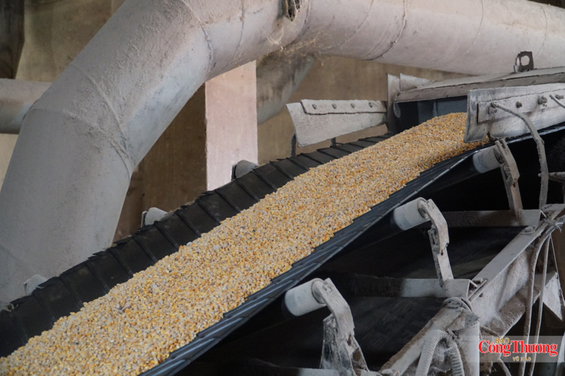 Sản xuất 24/24h, nhu cầu sử dụng năng lượng tại nhà máy sản xuất ethanol Quảng Nam rất lớn