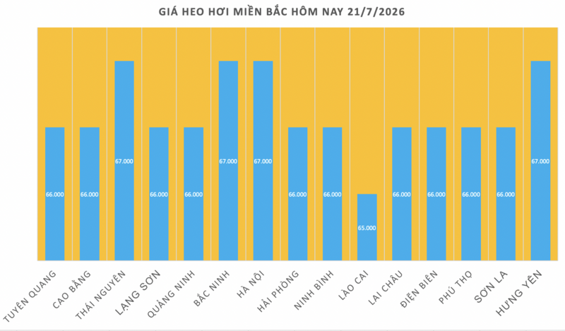 Giá heo hơi hôm nay 21/7/2026: Duy trì bình ổn - 1