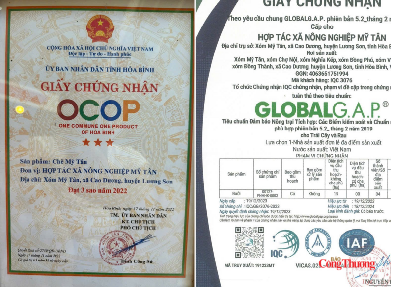 OCOP, GLOBALGAP tạo sức bật cho nông sản Hợp tác xã Mỹ Tân phát triển. Ảnh: Tùng Hương